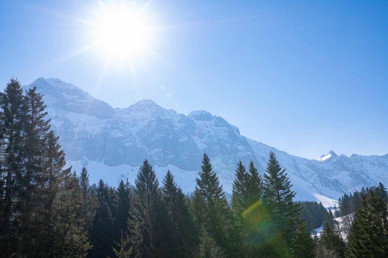 Saentisecho - In Der Natur Zu Hause Urnasch Екстер'єр фото